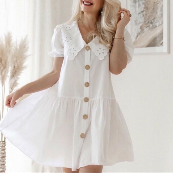 Blogger Favorite ZARA Guipure Poplin Collar Dress - Picture 1 of 6